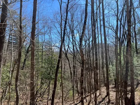 Lots High View Road Wolf Mountain Estates Murphy NC 28906