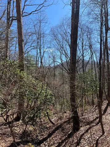 Lots High View Road Wolf Mountain Estates Murphy NC 28906
