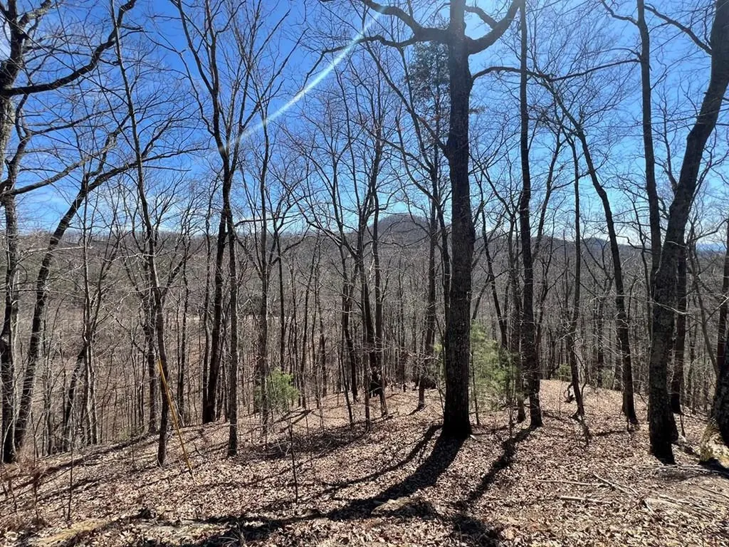 Lot 17 Panorama Dr Wolf Mountain Estates Murphy NC 28906