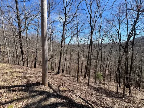 Lot 17 Panorama Dr Wolf Mountain Estates Murphy NC 28906