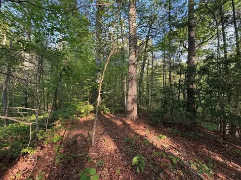 0000 Howard Edwards Road Robbinsville NC 28771