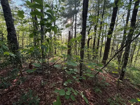 0000 Howard Edwards Road Robbinsville NC 28771