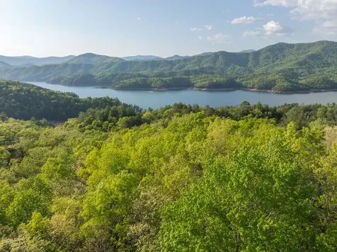 0000 Howard Edwards Road Robbinsville NC 28771