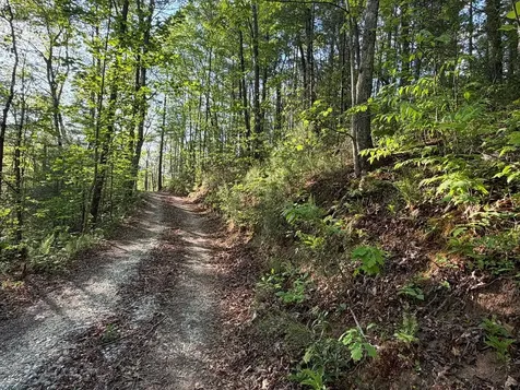 0000 Howard Edwards Road Robbinsville NC 28771