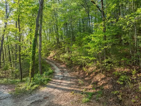 0000 Howard Edwards Road Robbinsville NC 28771