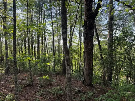 0000 Howard Edwards Road Robbinsville NC 28771