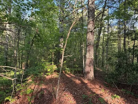 0000 Howard Edwards Road Robbinsville NC 28771