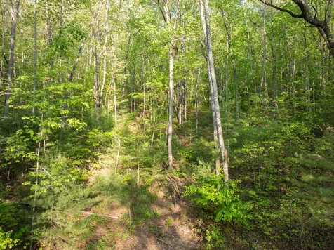 0000 Howard Edwards Road Robbinsville NC 28771