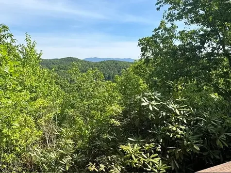 385 Vengeance Creek Road Marble NC 28906