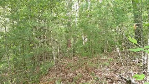 00 Mcdonald Road Murphy NC 28906