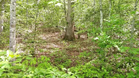 00 Mcdonald Road Murphy NC 28906