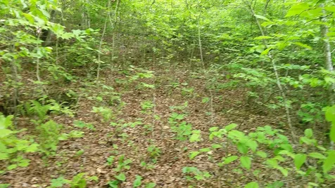 00 Mcdonald Road Murphy NC 28906