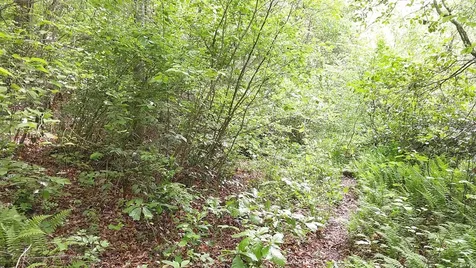 00 Mcdonald Road Murphy NC 28906