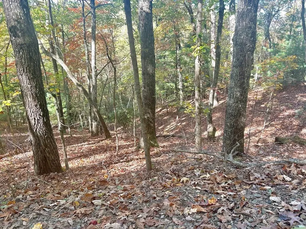 Lot 4 Ridgeline Brasstown NC 28902