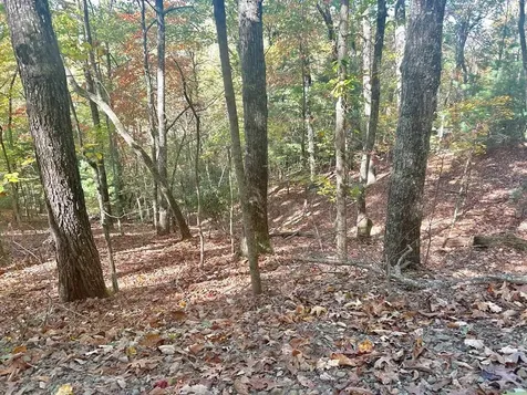 Lot 4 Ridgeline Brasstown NC 28902