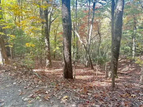 Lot 4 Ridgeline Brasstown NC 28902