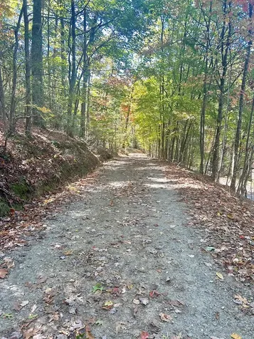 Lot 4 Ridgeline Brasstown NC 28902