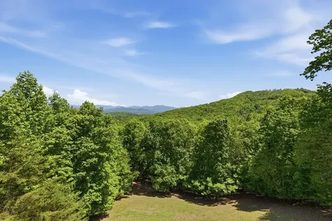 1065 Smokerise Drive Hayesville NC 28904