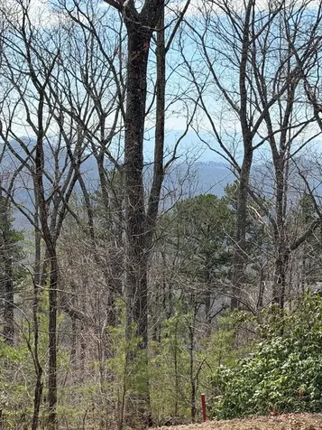 7.26 Ac Panorama Drive Murphy NC 28906