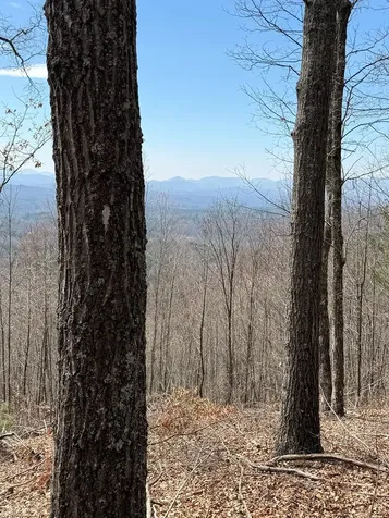 7.26 Ac Panorama Drive Murphy NC 28906