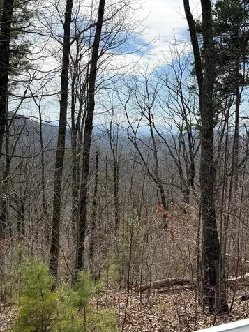 7.26 Ac Panorama Drive Murphy NC 28906