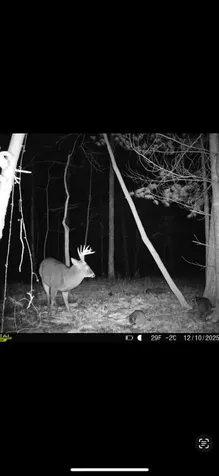 00 Shady Grove Road Murphy NC 28906
