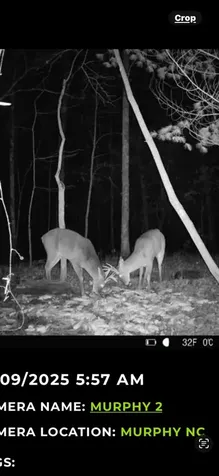 00 Shady Grove Road Murphy NC 28906