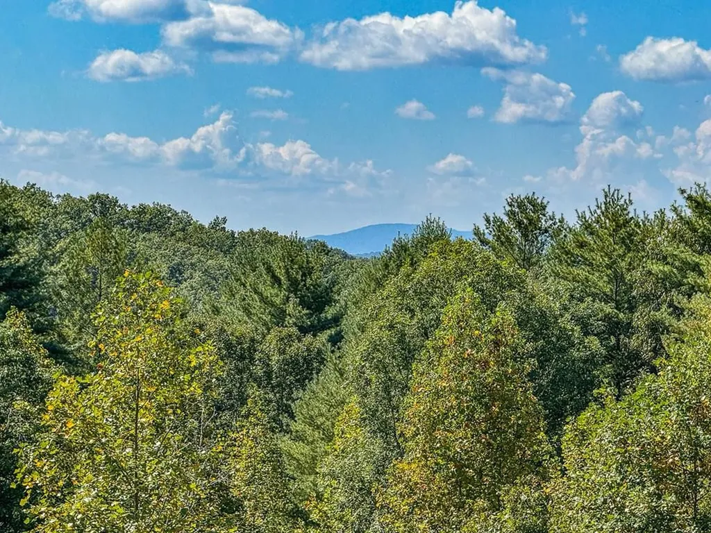 10007 Joe Brown Highway Murphy NC 28906