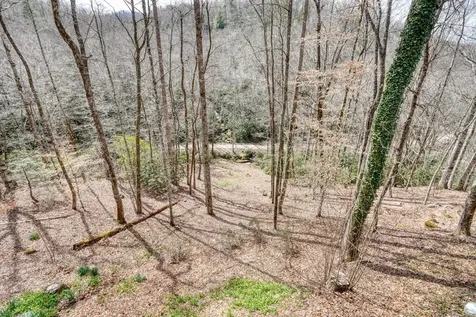 575 Carolina Springs Lane Franklin NC 28734