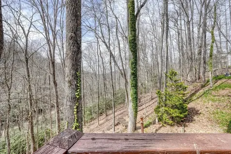 575 Carolina Springs Lane Franklin NC 28734