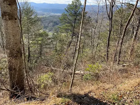 Lot 22 Laramie Heights Andrews NC 28901