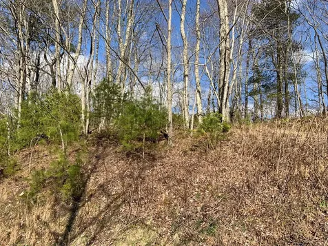 Lot 22 Laramie Heights Andrews NC 28901