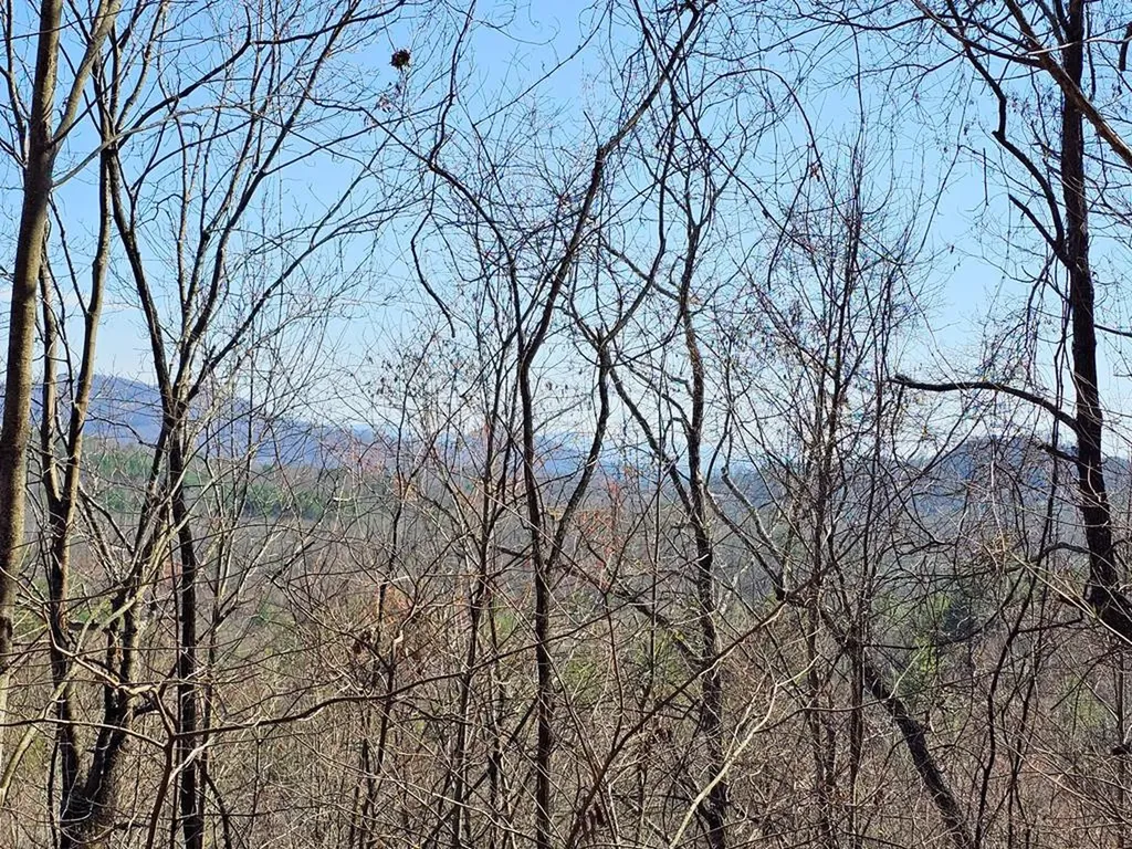 Lot 39 Merlin Trl / Warbler Road Murphy NC 28906
