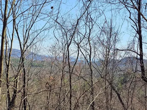 Lot 39 Merlin Trl / Warbler Road Murphy NC 28906