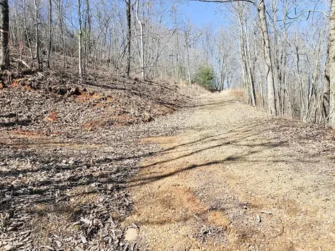 Lot 39 Merlin Trl / Warbler Road Murphy NC 28906