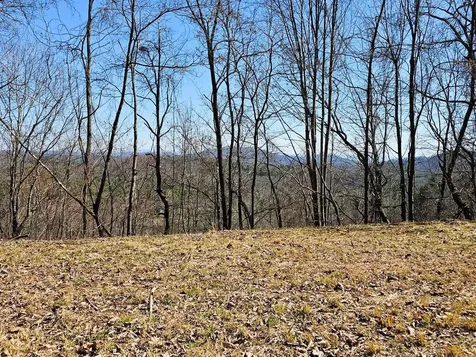 Lot 39 Merlin Trl / Warbler Road Murphy NC 28906