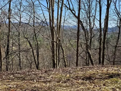 Lot 39 Merlin Trl / Warbler Road Murphy NC 28906