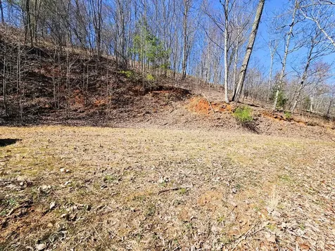 Lot 39 Merlin Trl / Warbler Road Murphy NC 28906