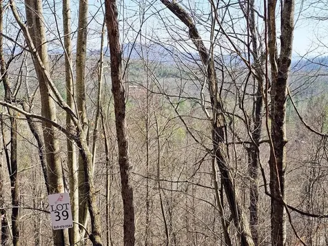 Lot 39 Merlin Trl / Warbler Road Murphy NC 28906