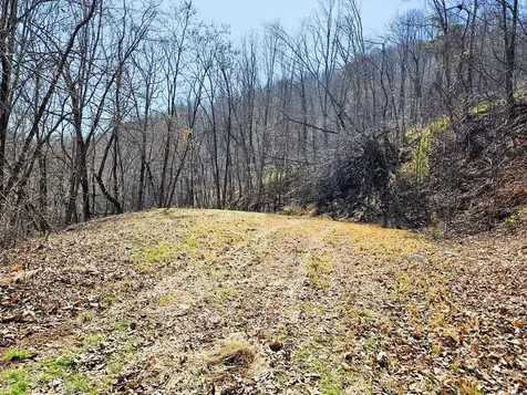 Lot 39 Merlin Trl / Warbler Road Murphy NC 28906