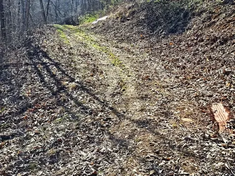 Lot 39 Merlin Trl / Warbler Road Murphy NC 28906