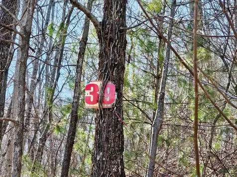 Lot 39 Merlin Trl / Warbler Road Murphy NC 28906