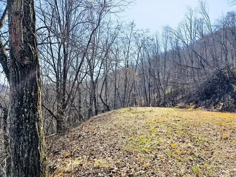 Lot 39 Merlin Trl / Warbler Road Murphy NC 28906