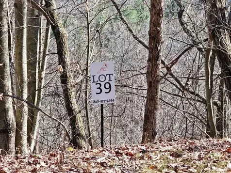 Lot 39 Merlin Trl / Warbler Road Murphy NC 28906