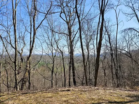 Lot 39 Merlin Trl / Warbler Road Murphy NC 28906