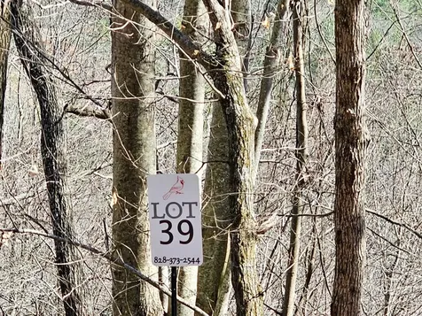 Lot 39 Merlin Trl / Warbler Road Murphy NC 28906