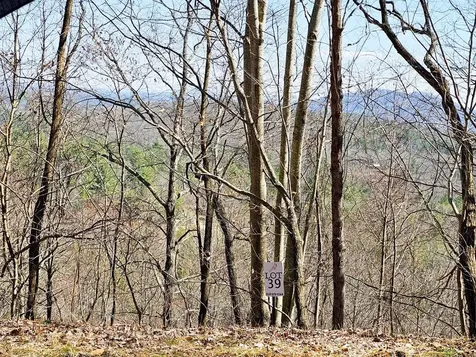 Lot 39 Merlin Trl / Warbler Road Murphy NC 28906