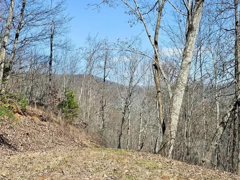 Lot 39 Merlin Trl / Warbler Road Murphy NC 28906