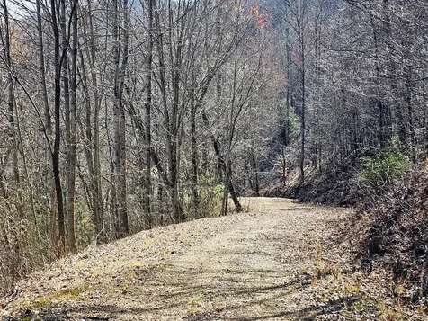 Lot 39 Merlin Trl / Warbler Road Murphy NC 28906