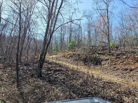 Lot 39 Merlin Trl / Warbler Road Murphy NC 28906